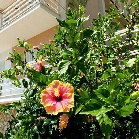 Casa Vacanze Ferdinandea ชากกา ภายนอก รูปภาพ